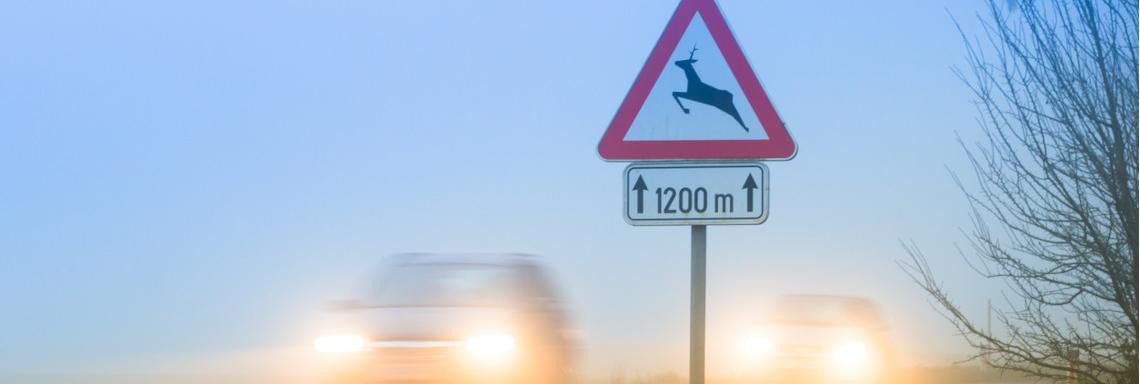 Ein Verkehrsschild, das vor Wildwechsel warnt, entegenkommende Fahrzeuge