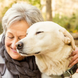 Haustierpflege: Eine ältere Frau umarmt einen Hund mit kurzem, hellen Fell.