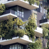 Baum auf Balkon: Was das Mietrecht zu Balkonpflanzen sagt. Ein Mehrfamilienhaus mit stark bepflanzten Balkonen.