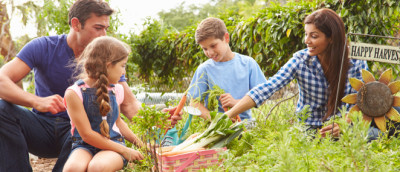 Familie im Schrebergarten Familie im Schrebergarten