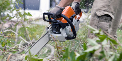 Kettensäge zersägt gefällten Baum