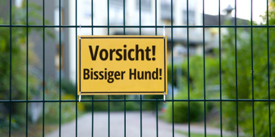 Hundebiss: Schmerzensgeld und weitere Rechte von Geschädigten