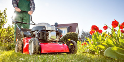 Gartenpflege: Was Mieter übernehmen müssen. Ein Mann hockt auf allen Vieren in einem Beet und jätet Unkraut.