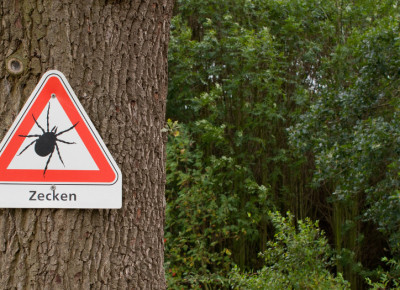 Wer einen Zeckenstich als Dienstunfall deklarieren möchte, trägt die Beweislast Wer einen Zeckenstich als Dienstunfall deklarieren möchte, trägt die Beweislast