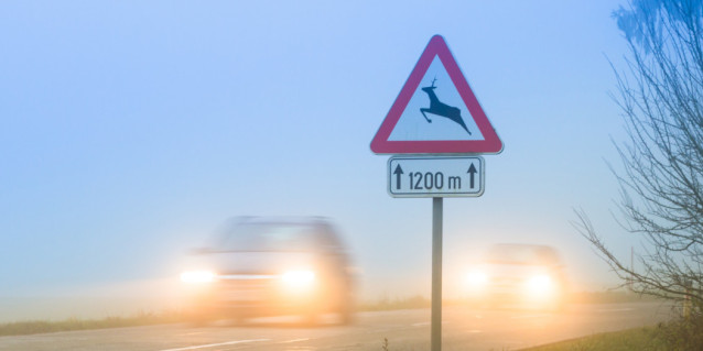 Ein Verkehrsschild, das vor Wildwechsel warnt, entegenkommende Fahrzeuge