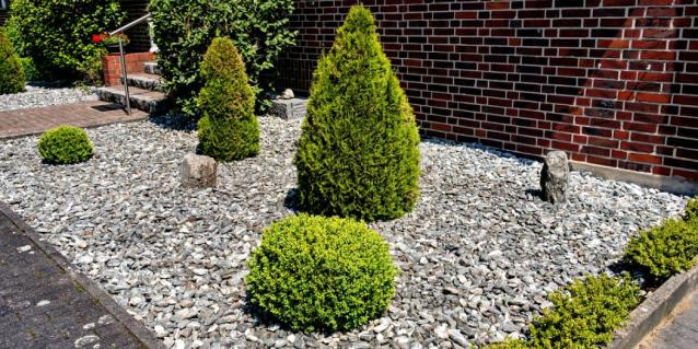 Vorgarten aus Stein, Kies und Schotter mit wenigen Buchsbäumen