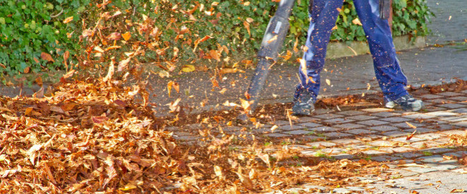 Laubsauger im Herbst: Muss der Lärm ertragen werden?