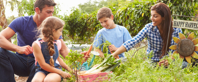 Familie im Schrebergarten