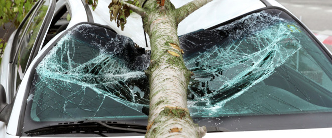 Sommergewitter: Baumstamm auf kaputter Windschutzscheibe