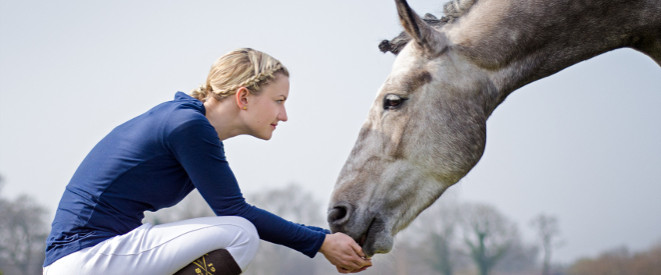 Blonde Frau in Reitkleidung füttert Pferd