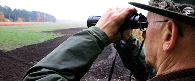 Jäger blickt mir Fernglas übers Feld