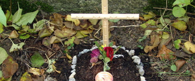 Tierbestattung im Garten: Holzkreuz auf einem Haustiergrab