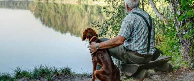 Mit Testament fürs Haustier vorsorgen: Können Tiere erben?