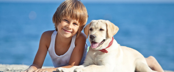 Hundestrand und Co.: Regeln für das Baden mit Hund. Ein Junge liegt mit einem Golden Retriever am Strand.