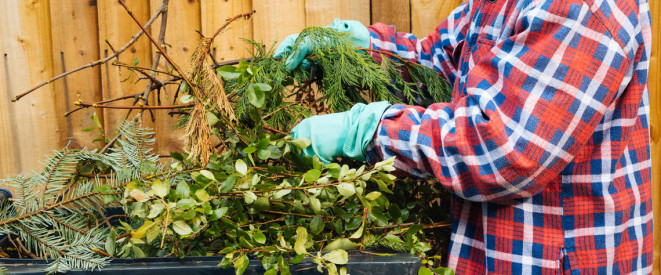 Saubere Sache: Gartenabfälle richtig entsorgen