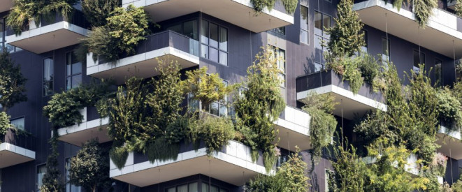 Baum auf Balkon: Was das Mietrecht zu Balkonpflanzen sagt. Ein Mehrfamilienhaus mit stark bepflanzten Balkonen.