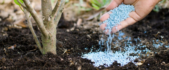 Garten düngen: Rechtliches rund um Düngemittel