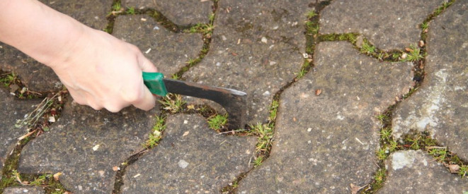 Wer Unkraut entfernen möchte, muss dabei das Pflanzenschutzgesetz beachten