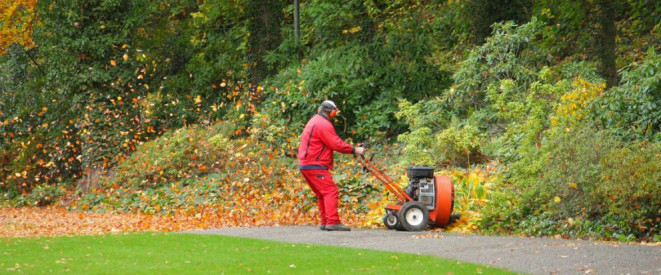 Für einen Unfall durch Laubbläser muss die Stadtreinigung nicht haften