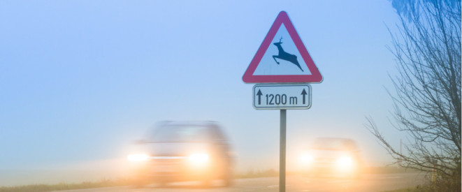 Ein Verkehrsschild, das vor Wildwechsel warnt, entegenkommende Fahrzeuge