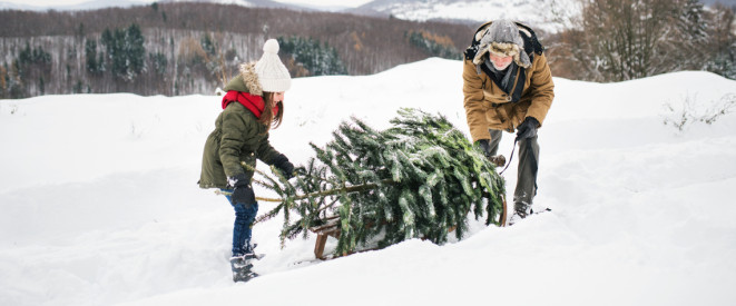Alter Mann zieht Tannenbaum mit Kind durch den Schnee