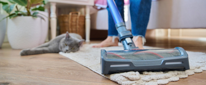 Staubsauger Teppich Katze