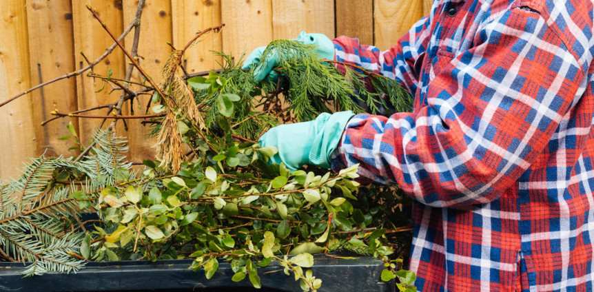 Saubere Sache: Gartenabfälle richtig entsorgen