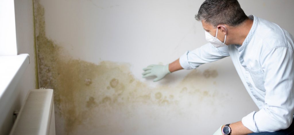 Handwerker mit Atemschutz betrachtet Schimmel an einer Wand.