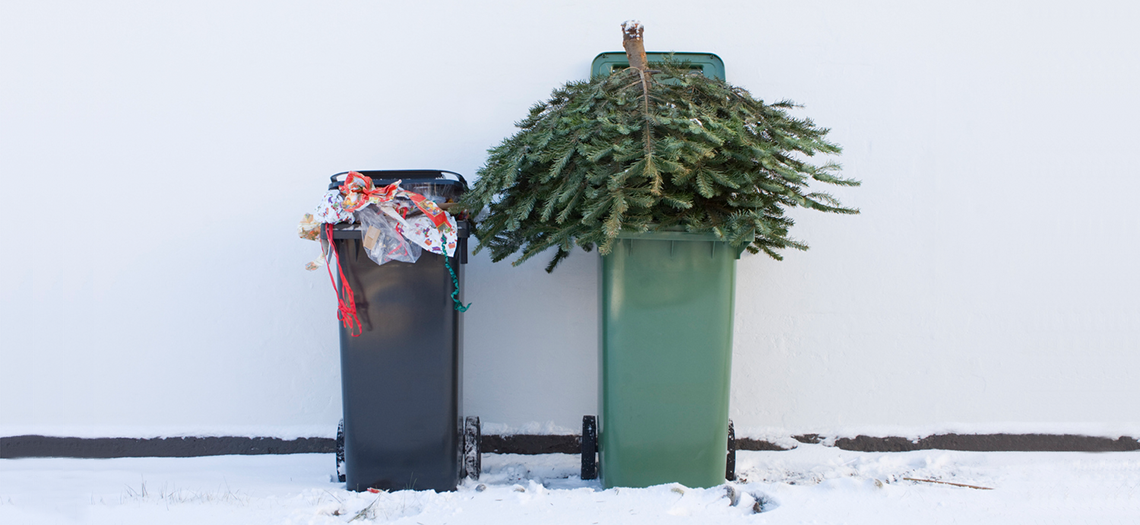 Weihnachtsbaum entsorgen: Das ist erlaubt