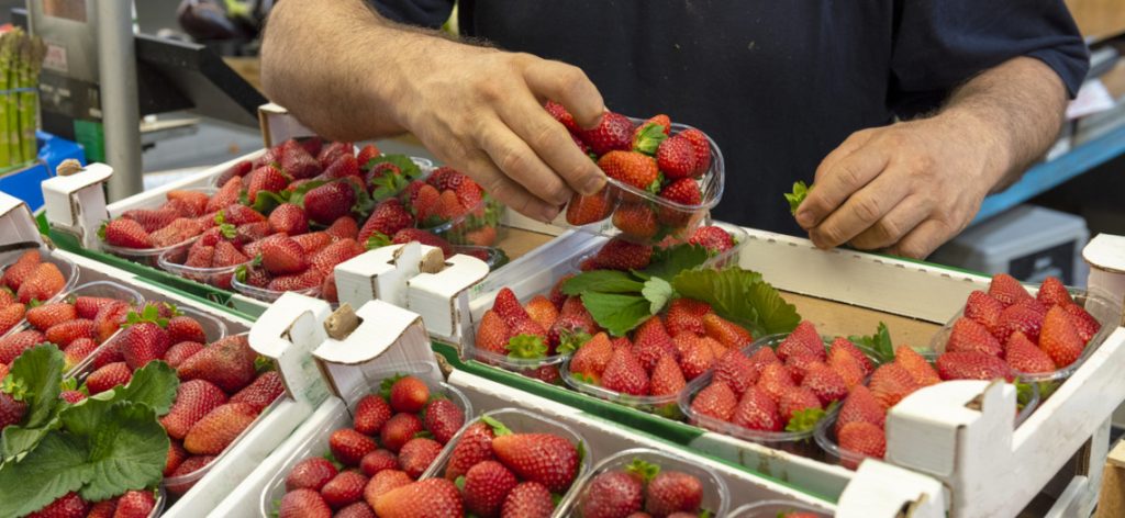 Eine Person nimmt sich frische Erdbeeren an einem Marktstand.