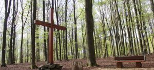 Grabkreuz steht im Wald