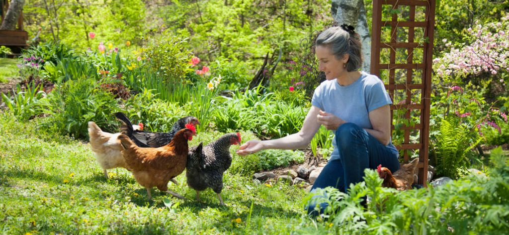 Eine Frau füttert Hühner in ihrem Garten.