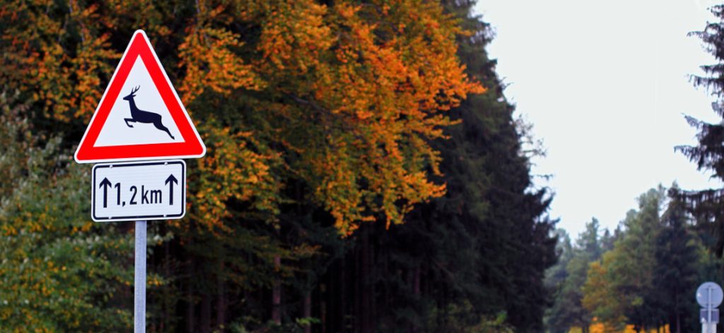 Ein Verkehrsschild, das vor Wildwechsel warnt, im Hintergrund eine herbstliche Waldlandschaft