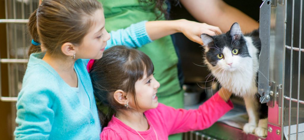 Zwei Kinder streicheln eine Katze in einem Tierheim-Gehege.