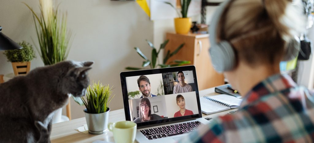 Frau mit Kopfhörern und Katze sitzt an einem Schreibtisch vor einem Laptop im Videocall.