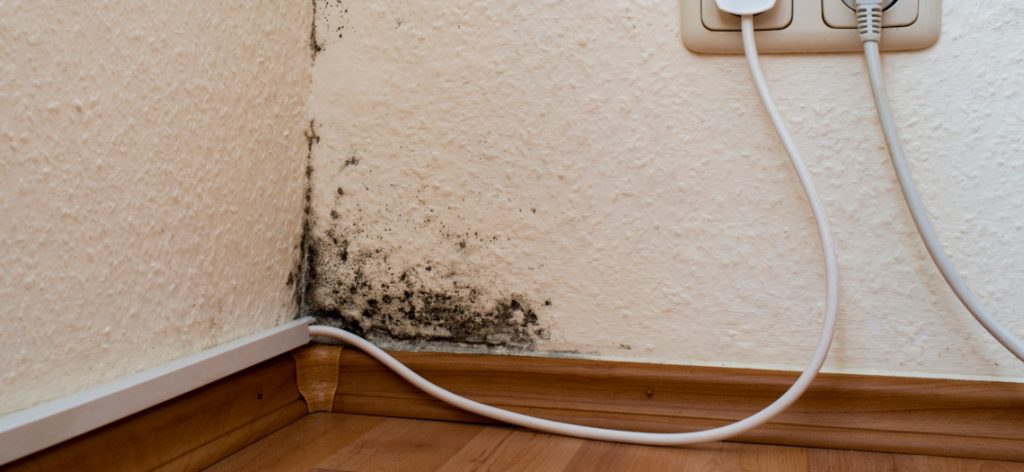 Schimmel an der Tapete oberhalb der Fußleiste in Wohnung