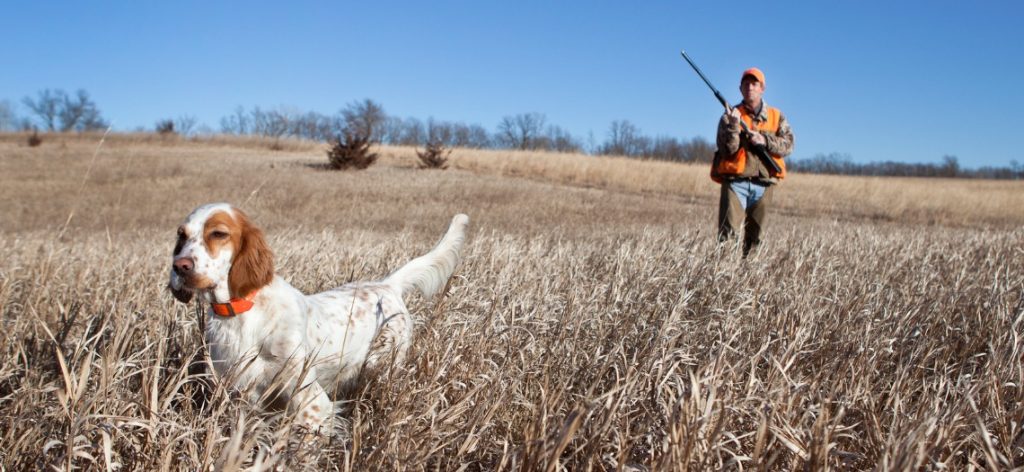 Jäger und Hund in einem Feld