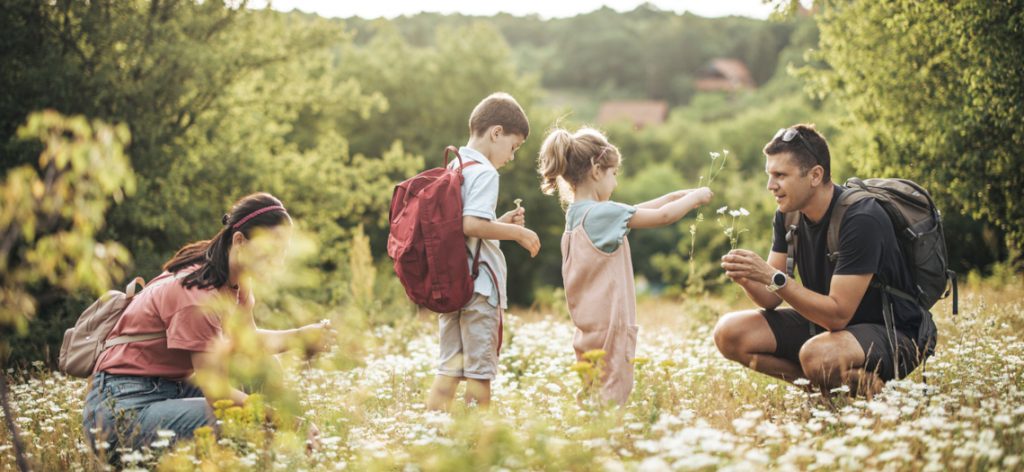 Familie mit zwei Kindern beim Blumenpflücken auf einer Wildblumenwiese
